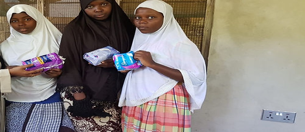 Image hover effect image